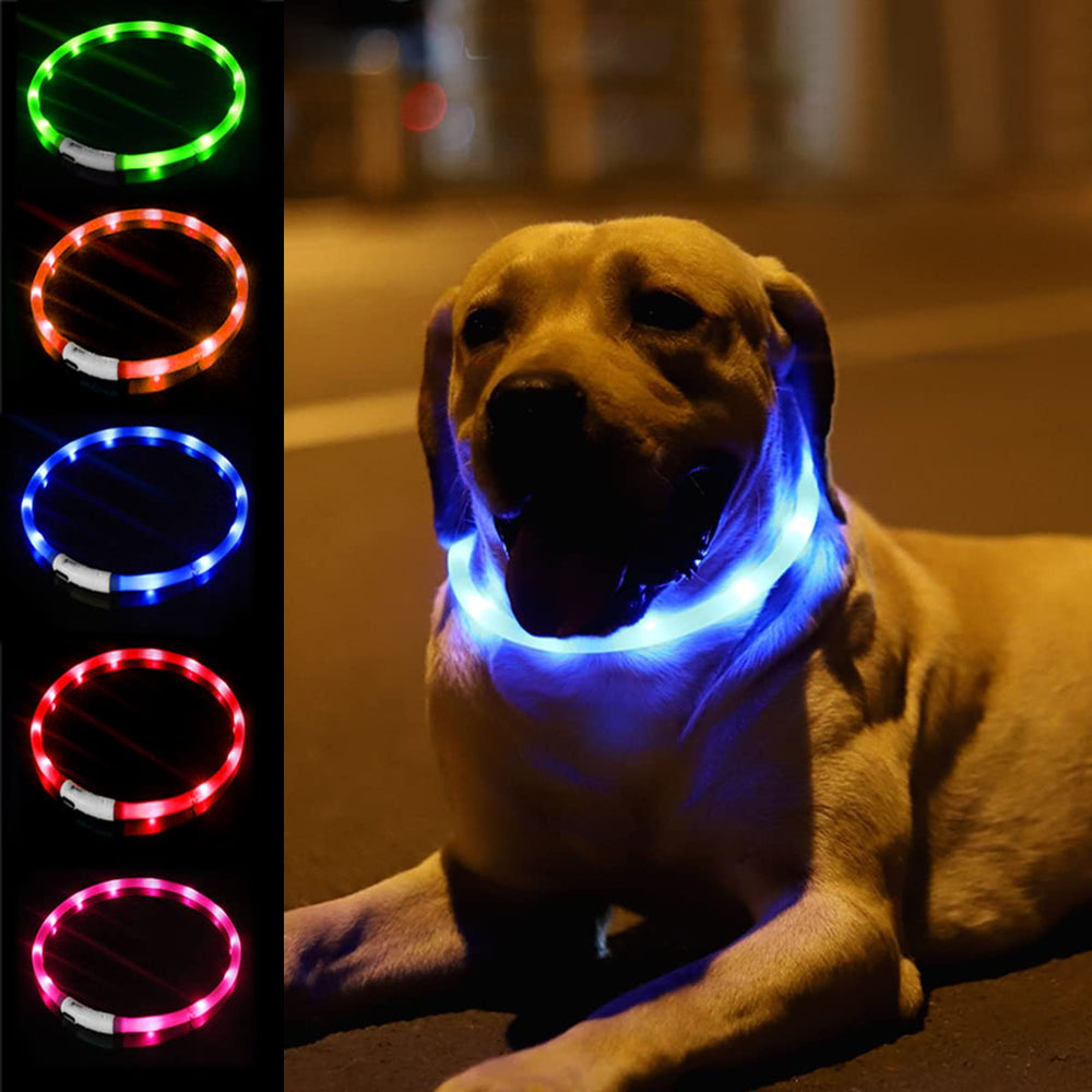 Fashioncool collar LED: visibilidad nocturna en primer plano.