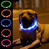 Fashioncool collar LED: visibilidad nocturna en primer plano.