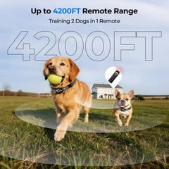Fatjopet control-remoto-4200ft, alcance para entrenar al aire libre