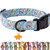 Collar Faygarsle para perros, azul dinosaurio, cómodo y ajustable para paseos diarios