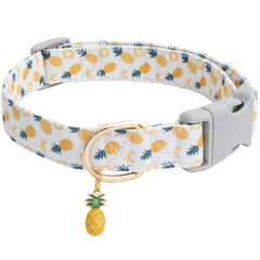 Faygarsle collar piña rosa, ideal verano para perros pequeños y medianos