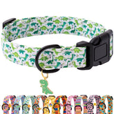Collar Faygarsle verde con dinosaurio y ajuste cómodo para mascotas activas.