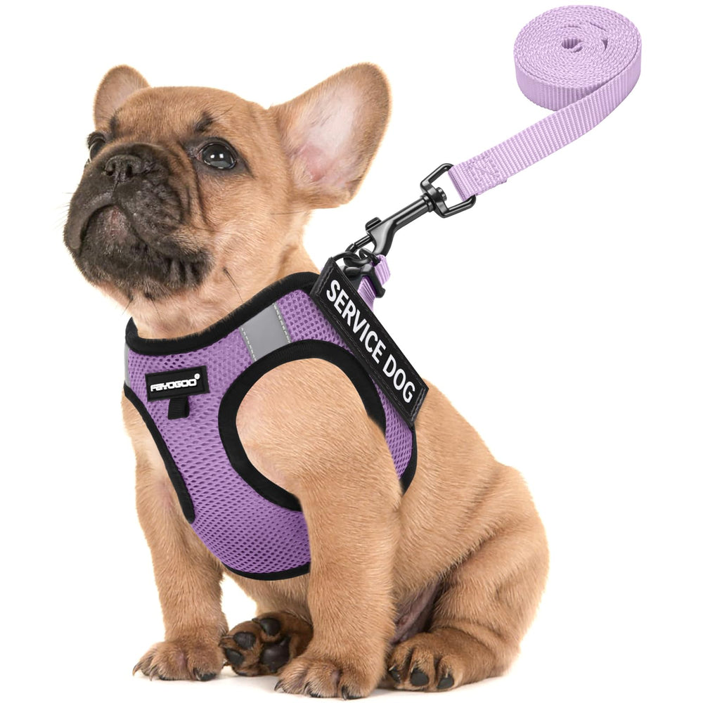 FAYOGOO arnés de servicio para perro pequeño, ligero y cómodo para paseos.