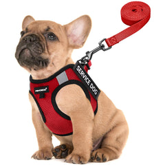 Arnés de servicio FAYOGOO para perro pequeño, ligero y cómodo para paseos.