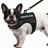 FAYOGOO arnés para perro pequeño con malla de aire, cómodo en paseos cálidos
