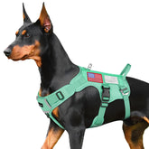 FAYOGOO arnés táctico para perros grandes, transpirable y cómodo durante paseos.