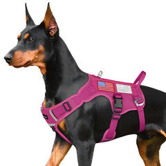 Arnés Fayogoo para perro pequeño con malla transpirable, ideal para caminatas