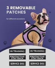 Chaleco Fayogoo con parches removibles para personalizar el entrenamiento.