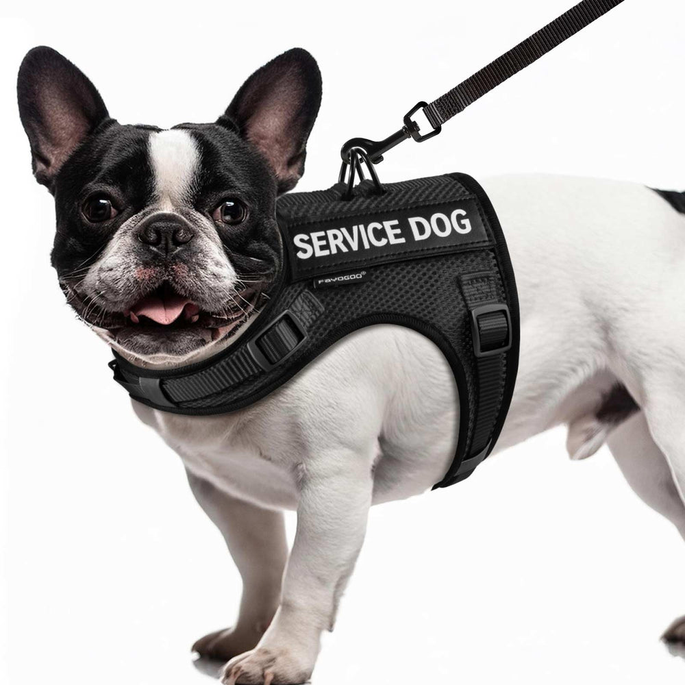 Chaleco de servicio FAYOGOO para perro pequeño con malla transpirable para paseos largos.