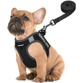 Chaleco Fayogoo para perro pequeño y ligero, cómodo para paseos diarios.