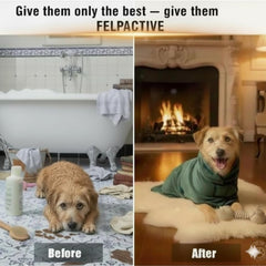 Caja regalo FELPACTIVE para perro, presentación elegante