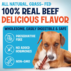 FETCHERONI jumbo bully stick textura gruesa para masticadores fuertes.