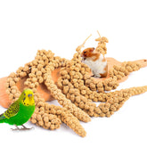 Fhiny Mijo Spray para Aves: embalaje práctico para alimentación diaria