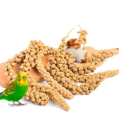 Fhiny Mijo Spray para Aves: embalaje práctico para alimentación diaria