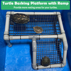 Fhiny ventosas sujetando plataforma tortugas, fijación estable dentro del tanque.