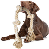 Juguete de cuerda Fida para perros grandes, perfecto para juego activo.