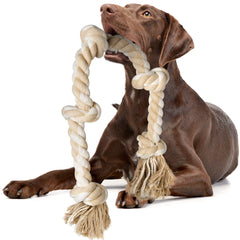 Juguete de cuerda Fida para perros grandes, perfecto para juego activo.