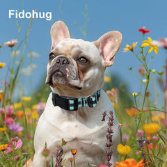 Collar fidohug con diseño moderno y patrones variados para caminar