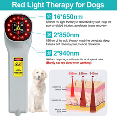Fimem terapia de luz roja para perros, enfoque en articulaciones.