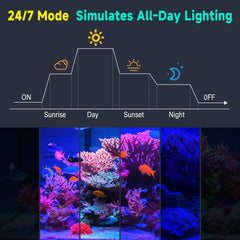 fishkeeper control de brillo ajustable para escenas diurnas y nocturnas
