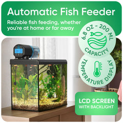 FISHNOSH termómetro digital muestra la temperatura del acuario con claridad.