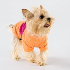 Fitwarm camiseta perro color block morado, diseño ligero para verano.