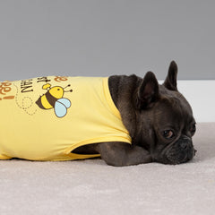 Modelo canino pequeño usando Fitwarm, ajuste cómodo y seguro.