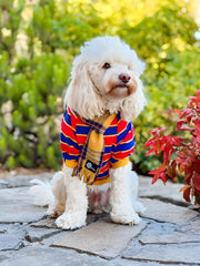 Fitwarm par de camisetas rayadas para perro, diseño clásico para salidas diarias.