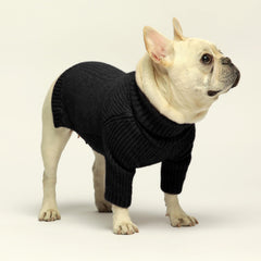 Fitwarm sudadera para mascotas, color negro, práctico para uso diario y eventos.