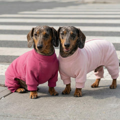 Fitwarm pijama para perros, cuello redondo y estilo simple para uso diario.