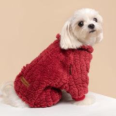 Pijama Fitwarm facilita vestir y desvestir al perro durante salidas diarias.