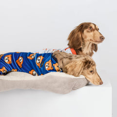 Fitwarm pijama perro oso azul, espalda visible, diseño cálido para la noche