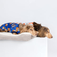 Fitwarm pijama perro oso azul, estampado oso, añade estilo suave