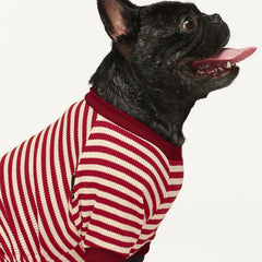 Pijama Fitwarm con patas integradas para mantener calor.