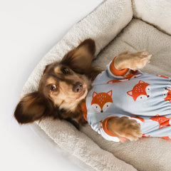 Fitwarm pijama perro zorro divertido trasero gris naranja XXL, cobertura total