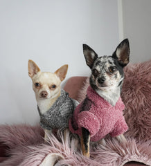 Fitwarm sudadera para perro pequeño capucha negra, diseño cómodo para casa y parque