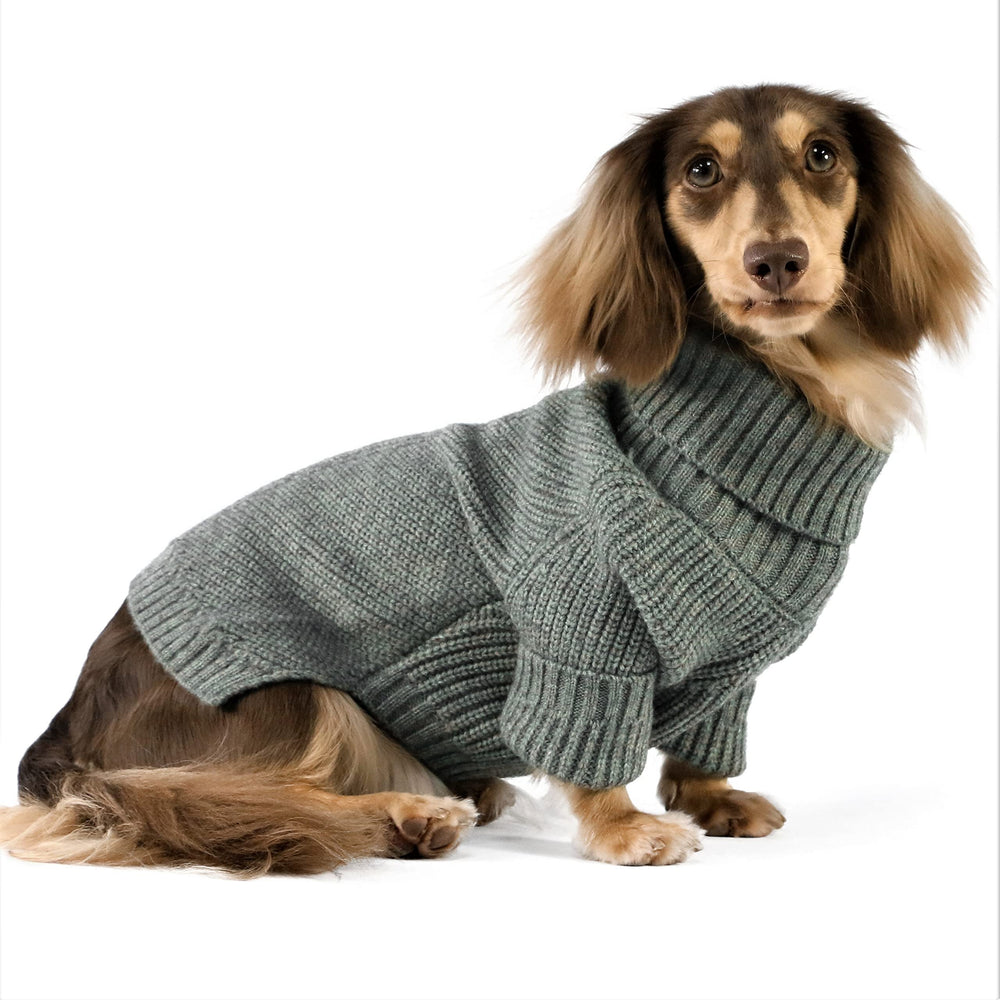 Fitwarm suéter para perro, cuello tortuga, frente, ideal para mantener el calor en paseos