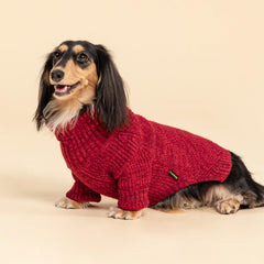 Fitwarm sueter perro tejido grueso, textura acogedora para invierno.