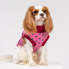 Textura suave de fleece de Fitwarm para perros pequeños en casa o fuera.