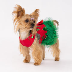 Top rojo con lazo y árbol verde de Fitwarm, ideal para sesiones de fotos festivas.