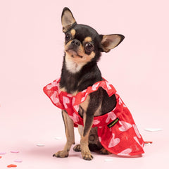 Vestido Fitwarm para perro con corazones rosas, perfecto para ocasiones especiales.