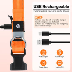 Collar Fiveda con carga USB recargable y sin desechables
