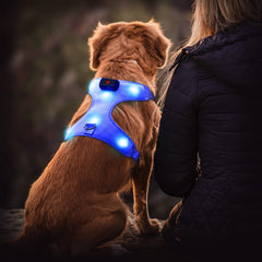 Arnés Flashseen LED iluminado lateral, mejora la seguridad al pasear.