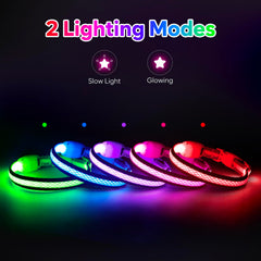 Flashseen collar LED para gatos azul XS, seguridad en paseos nocturnos