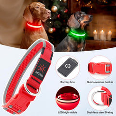 Collar Flashseen LED con nylon resistente para mascotas activas.