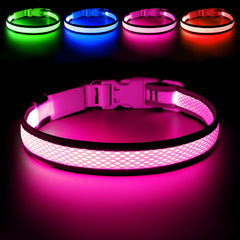 Collar Flashseen con luz LED para visibilidad nocturna del perro.