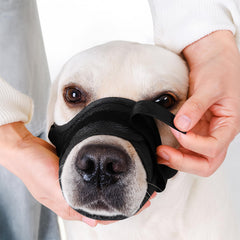 Mordaza ajustable de Flintstone para perros pequeños, garantiza ajuste cómodo y seguro.