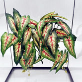 FLmoving Alocasia Odora colgante para terrario, aspecto realista y decorativo.