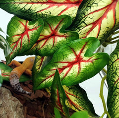 FLmoving Hábitat natural para reptiles con plantas decorativas artificiales.