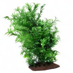 Fluval Aqualife Helzine, planta lateral: textura suave para aspecto realista.